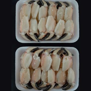 PINZA DE JAIBA